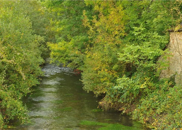 D'hotes Les Cardabelles Oda ve Kahvaltı 3*